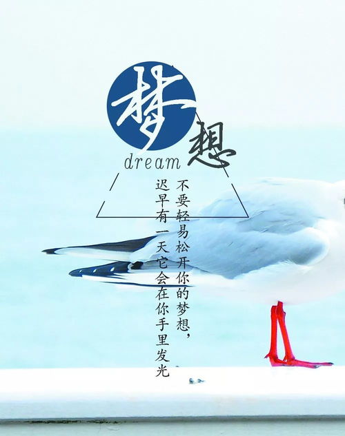 關于投資期貨正能量的句子