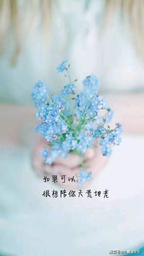 句子,唯美,能量,心態(tài)