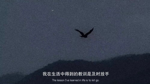 句子,能量,充滿,晚上