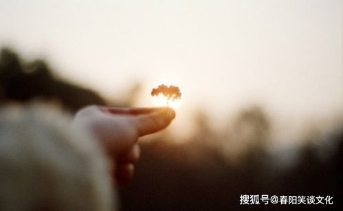 特別可愛(ài)又特別正能量的句子