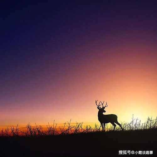 上進(jìn),句子,能量,心態(tài)