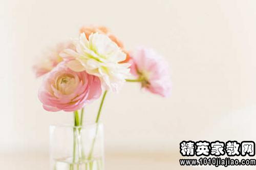 工作心態(tài)正能量句子,表達(dá)有愛(ài)心正能量的句子,積極工作正能量的句子