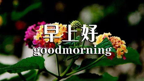 關(guān)于堅(jiān)持的正能量句子,正能量?jī)?yōu)秀句子,正能量滿滿的勵(lì)志句子