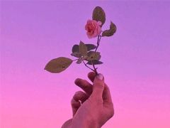 深夜加油努力正能量句子說說心情