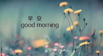 句子,能量,充滿