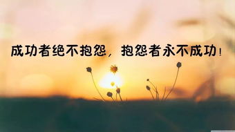 勵(lì)志的說說正能量經(jīng)典句子,早上勵(lì)志的說說正能量經(jīng)典句子,讀書正能量經(jīng)典勵(lì)志句子