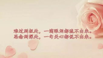 正能量感悟人生的經(jīng)典句子,忙碌感悟人生正能量句子,感悟人生正能量勵(lì)志句子