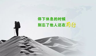關(guān)于人情世故的句子,罵不懂人情世故的人句子,人情世故正能量語錄