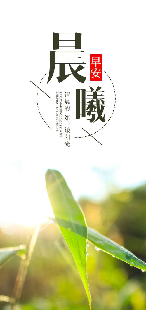 周一正能量句子早安語錄,上班正能量句子早安語錄,正能量句子早安語錄經(jīng)典語錄