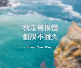 有關(guān)堅(jiān)持的正能量句子