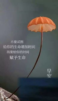 早安勵(lì)志正能量的句子,好心態(tài)早安正能量句子,早安語(yǔ)錄正能量的句子