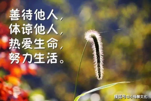 能量,句子,語(yǔ)錄,清晨