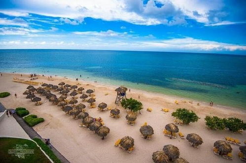 夸員工正能量的句子