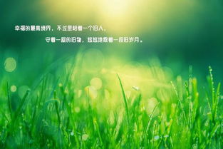 積極健康的正能量勵志句子,積極陽光正能量的勵志句子,積極工作正能量的句子勵志