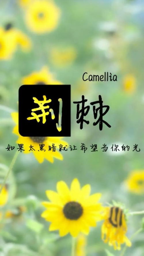 句子,勤奮,能量