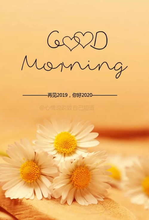 句子,唯美,能量,全集