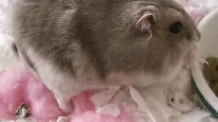 句子,滿滿,早上起來(lái),能量