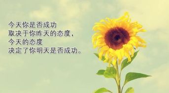 積極向上正能量的句子帶