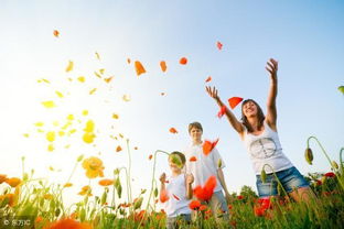 句子,能量,傳播,高中生