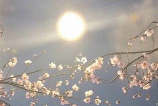 請善待生活的正能量句子