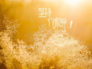 做正能量的人的句子,工作正能量句子,熱愛祖國正能量的句子