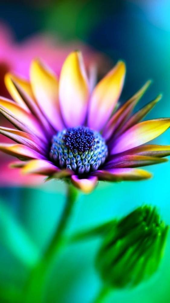 朋友圈點贊率最高的正能量句子