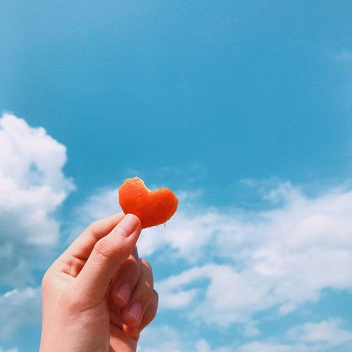 可愛調(diào)皮正能量句子