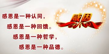 句子,感恩,能量,平臺