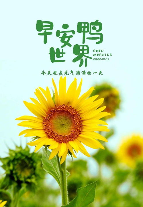 早上發(fā)圈的正能量和句子,早上激勵(lì)的正能量的句子和,早上努力正能量的句子和