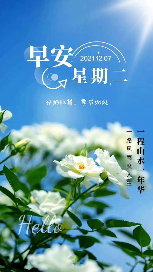 早上正能量的句子,星期二語錄正能量句子,早上滿滿的正能量句子