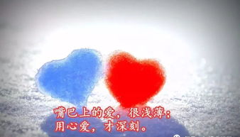 句子,能量,深夜