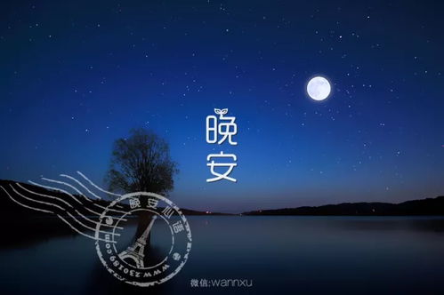 簡短,晚安,句子,能量