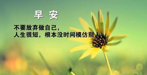 鼓勵(lì)自己的正能量句子早安