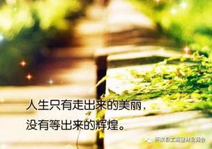 句子,能量,奮斗,女人