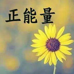 關(guān)于少年夢(mèng)想的句子,少年夢(mèng)想的勵(lì)志句子,形容少年夢(mèng)想的句子