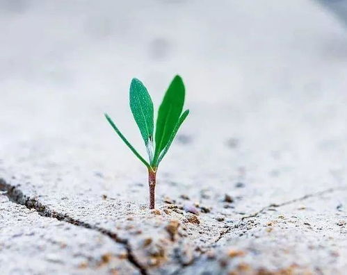 正能量的句子說說心情短語,委屈的句子說說心情短語,一個人正能量的句子說說心情短語