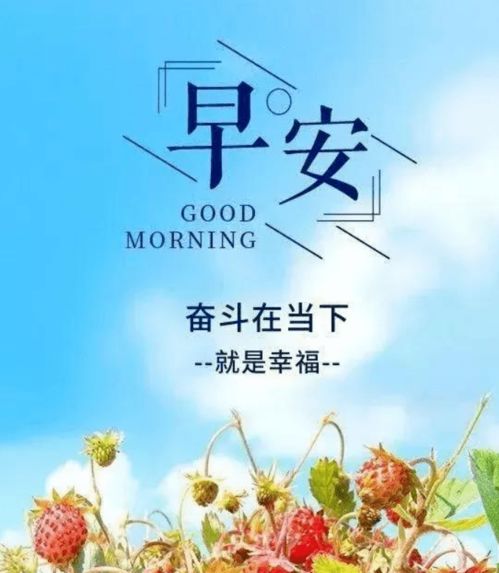 句子,能量,熱愛