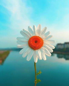 給妻子的帶有正能量的句子