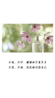 小清新正能量句子,清新正能量的句子,網(wǎng)紅小清新句子簡(jiǎn)短正能量