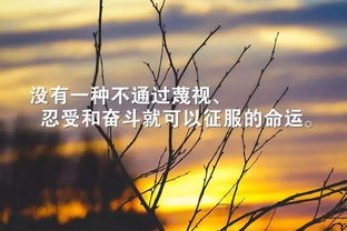 考研正能量句子簡短,十月份正能量的句子經(jīng)典語句,生活陽光正能量的句子簡短