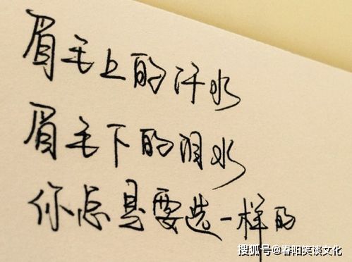 開心正能量的句子說說心情,夫妻正能量句子說說心情,心情好正能量的句子說說心情