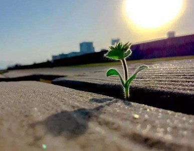 關(guān)于陽(yáng)光正能量短句子十字以?xún)?nèi)