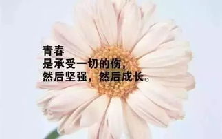 早安勵(lì)志正能量的句子朋友圈,人生勵(lì)志正能量句子朋友圈,正能量句子勵(lì)志短句子朋友圈