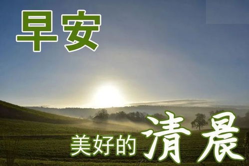 句子,能量,心態(tài)