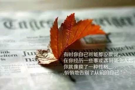 句子,能量,陽光