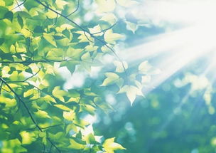 句子,冬日,能量,暖陽(yáng)正