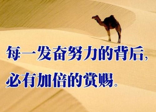 正能量句子勵志短句子名人名言