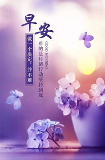 暖心正能量句子帶字