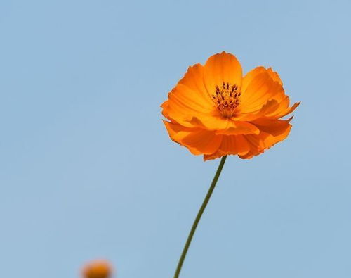 精點正能量的句子