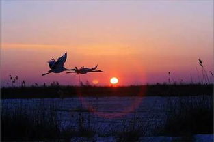 2021正能量句子勵(lì)志短句子,2021新年勵(lì)志正能量的句子,2021清晨勵(lì)志正能量的句子